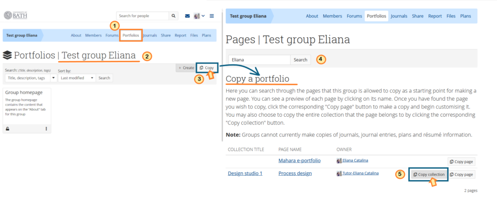 The screenshot shows how to share a portfolio/page with a group.