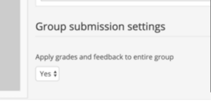 Option to apply grades and feedback to a Group of students.