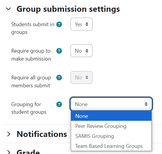 Screenshot of Group submission setting