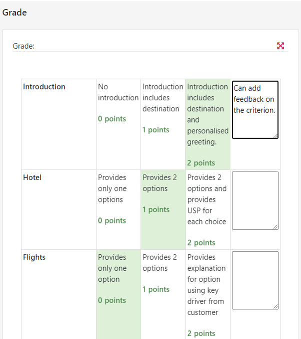 Example of a rubric with certain levels chosen.