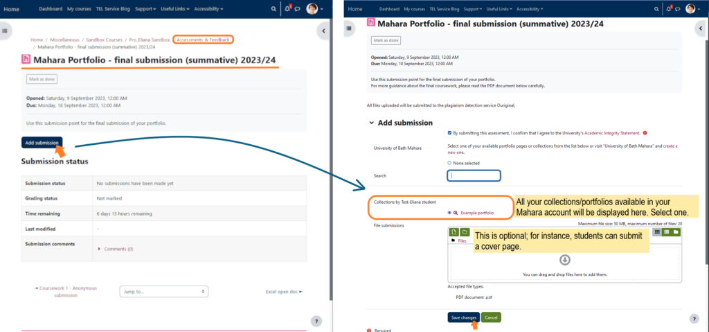 Screenshot of the assigment view for students using a submission point in Moodle 