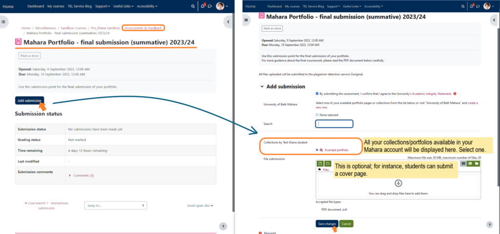 Screenshot of the assigment view for students using a submission point in Moodle