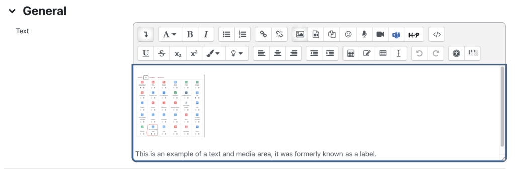 Image showing text editor options.