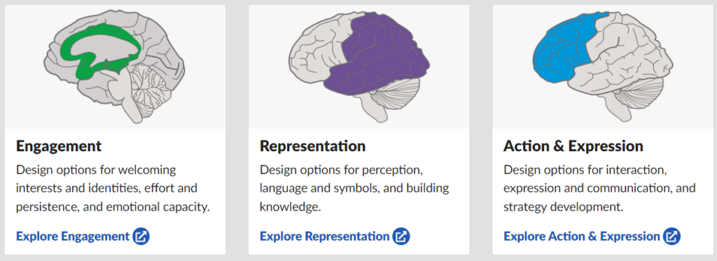 Image representing "Engagement, representation and action & expression" taken from cast.org.