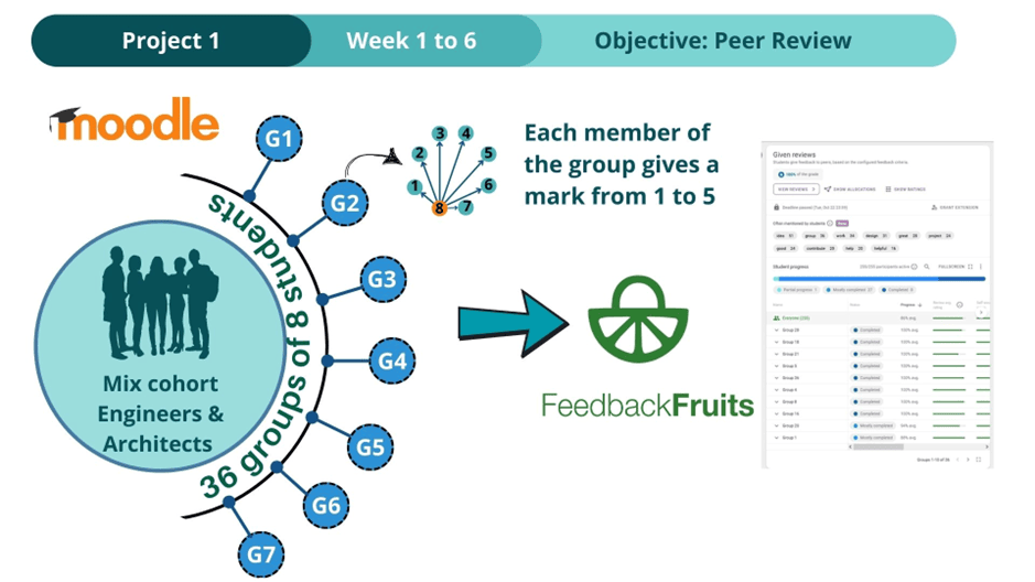 Slide representing the steps of Phase 1 from students being put into groups and a screenshot of group member reviews in FeedbackFruits.