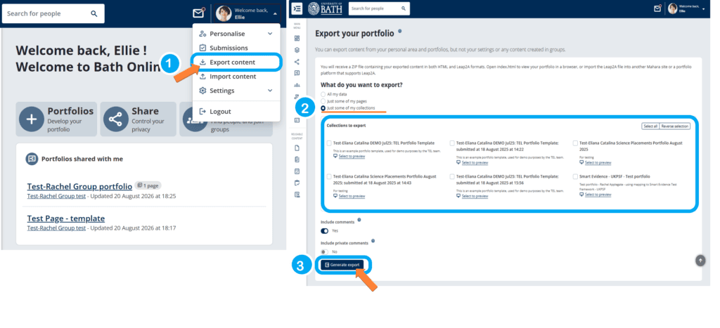 screenshot export process